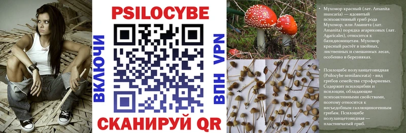 Псилоцибиновые грибы мицелий  купить наркотики сайты  Уржум 